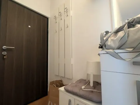 Izdavanje, jednosoban stan, 30m², Novi Beograd Blok 1 Fontana, Novi Beograd Sve Podlokacije - image 4