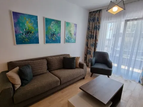 Rent, one bedroom apartment, 46m², Budva okolina, Budva - image 3