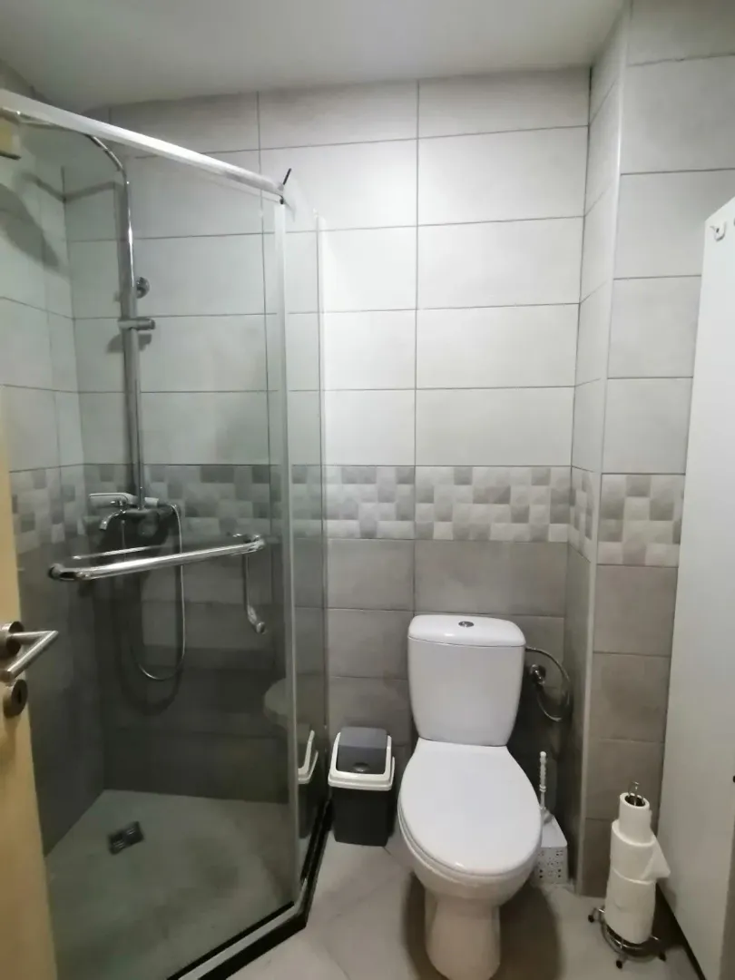 A simple bathroom with a shower cabin and a toilet.