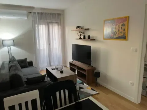 Izdavanje, jednosoban stan, 42m², Central Point, Podgorica - image 4