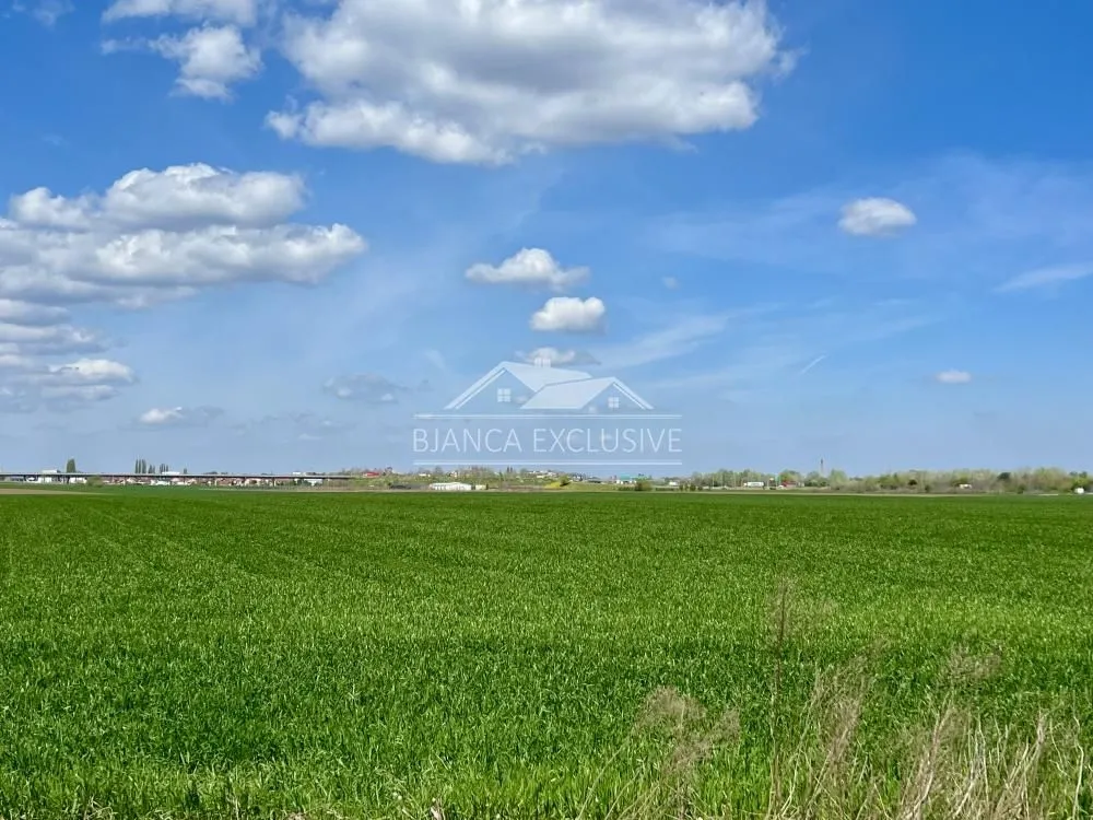 Prodaja, plac, 50000m², Batajnica, Beograd