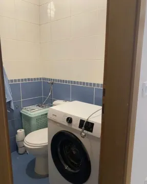 Manje kupatilo sa veš mašinom i WC šoljom. - image 11