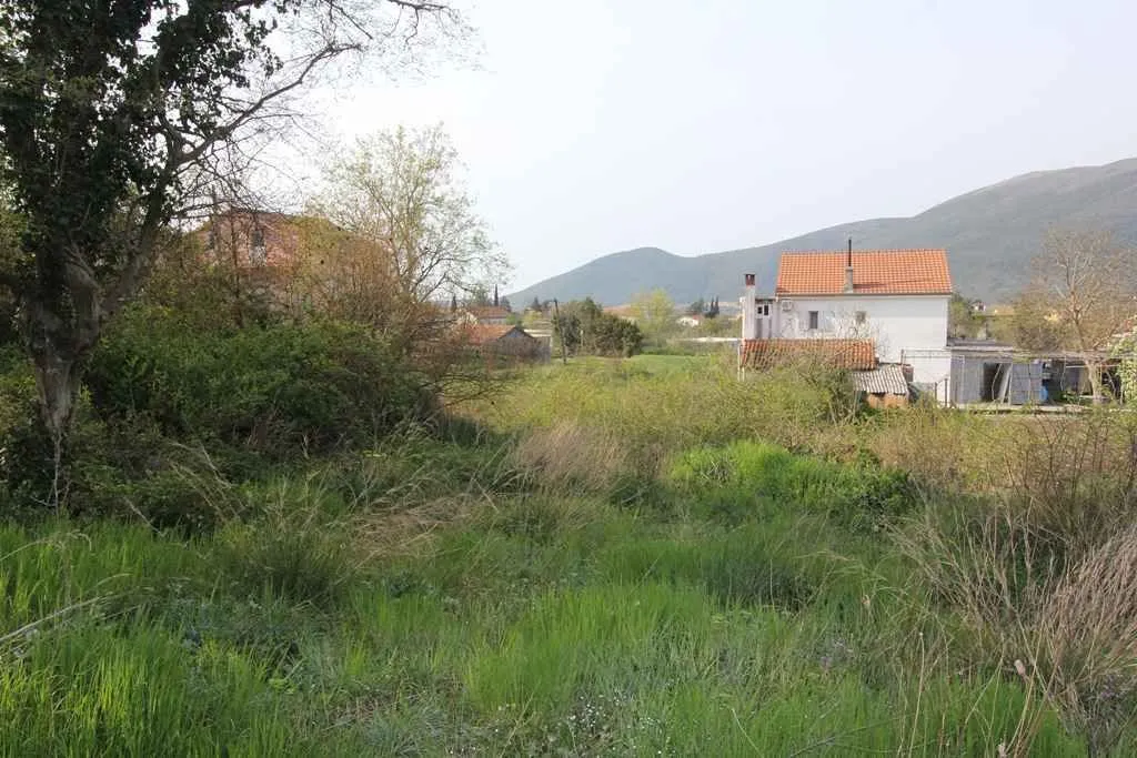 Zeleni plac sa kućama u pozadini.