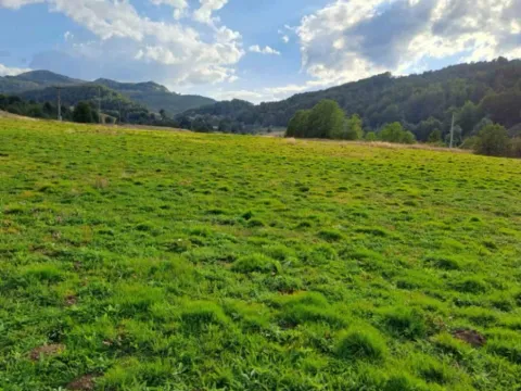 Prodaja, plac, 70000m², Veruša, Podgorica - image 12