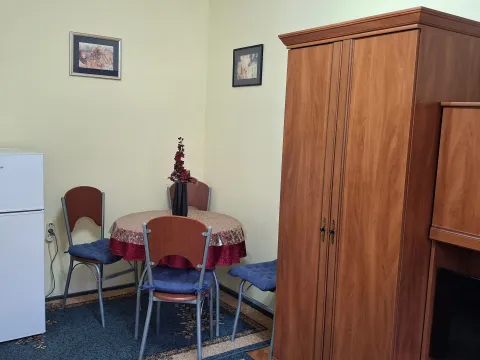 Rent, one bedroom apartment, 22m², Rotkvarija, Novi Sad Sve Podlokacije - image 3