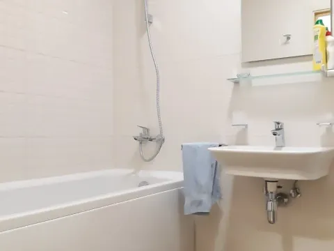 Izdavanje, jednosoban stan, 45m², Zagorič, Podgorica - image 12