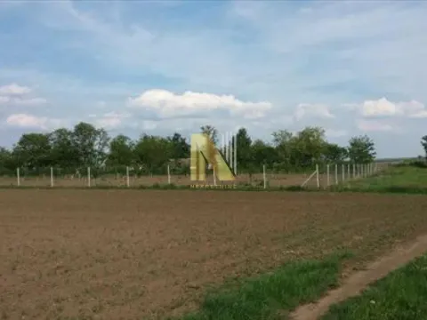 Prodaja, plac, 74000m², Žabalj, Srbija - image 11