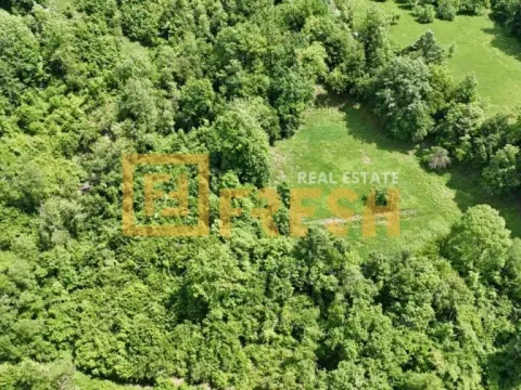 Prodaja, plac, 23000m², Kolašin, Crna Gora - image 4