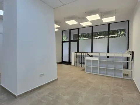 Izdavanje, poslovni prostor, 294m², Blok 5, Podgorica - image 5