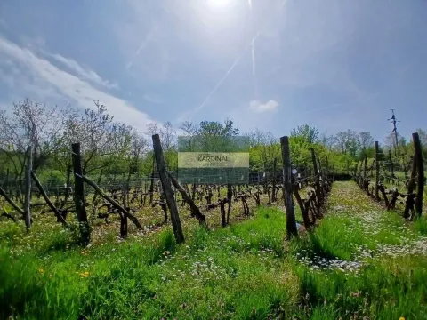 Prodaja, plac, 1258m², Majur, Jagodina - image 8