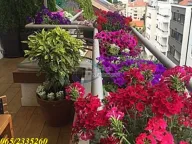 Sale, four bedroom apartment, 125m², Đeram Pijaca, Beograd - image 14