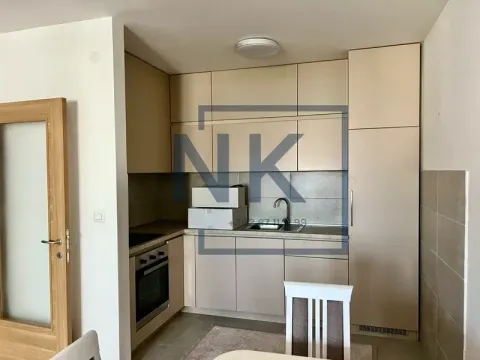 Izdavanje, jednosoban stan, 48m², Stari Aerodrom, Podgorica - image 6