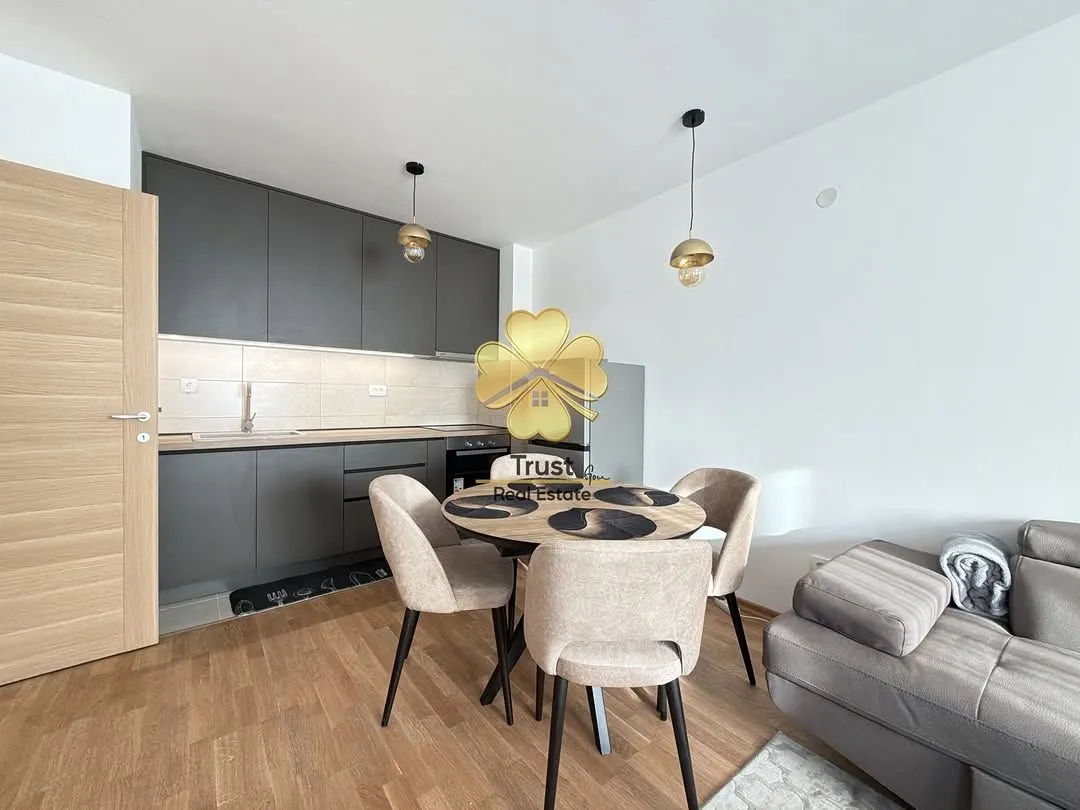 Izdavanje, jednosoban stan, 45m², Stari Aerodrom, Podgorica