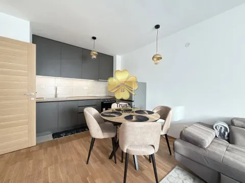 Izdavanje, jednosoban stan, 45m², Stari Aerodrom, Podgorica - image 3