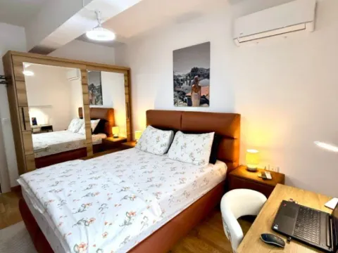 Izdavanje, jednosoban stan, 48m², Stara Varoš, Podgorica - image 8