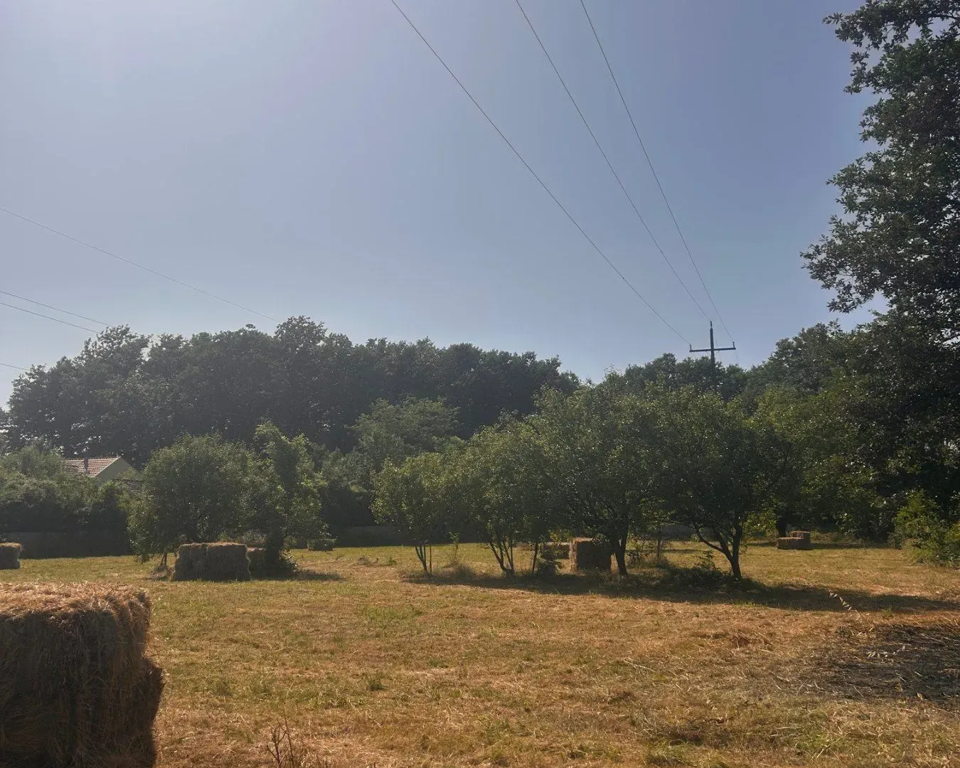 Prodaja, plac, 9300m², Danilovgrad, Crna Gora