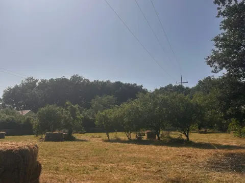 Prodaja, plac, 9300m², Danilovgrad, Crna Gora - image 10