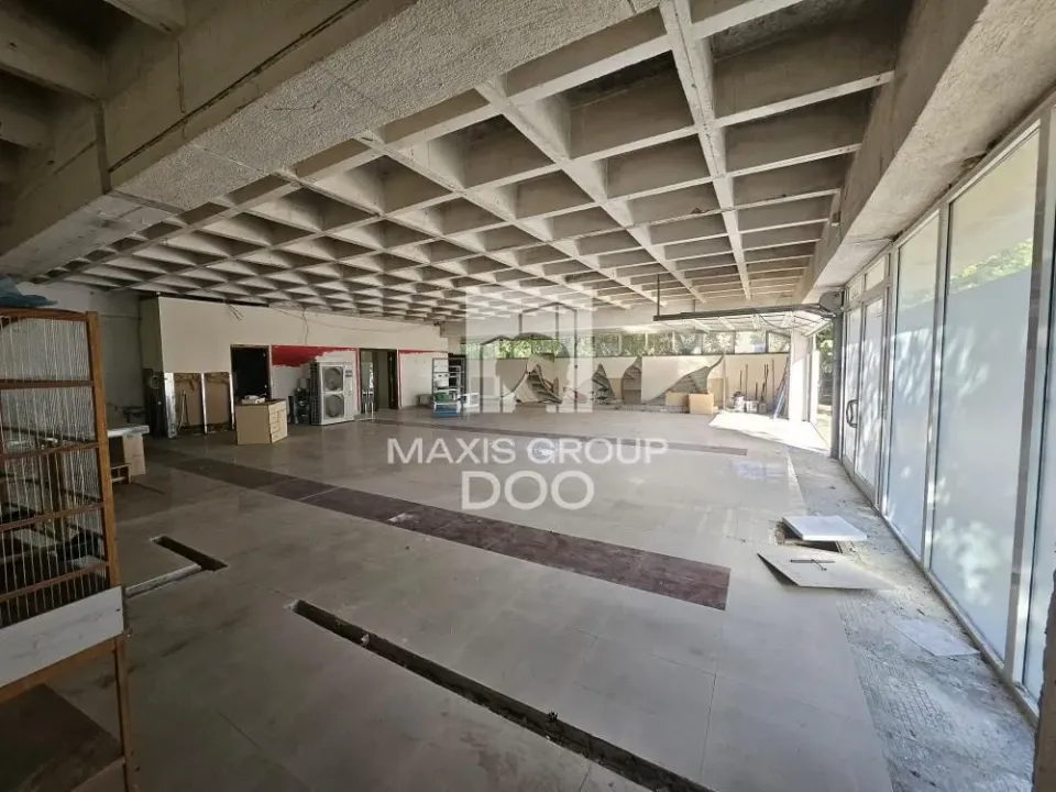 Izdavanje, poslovni prostor, 248m², Novi Beograd Sve Podlokacije, Beograd