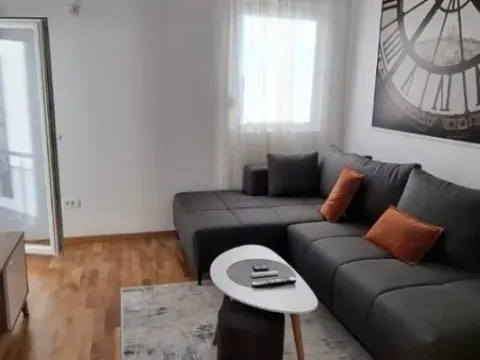 Izdavanje, jednosoban stan, 35m², Zagorič, Podgorica - image 3