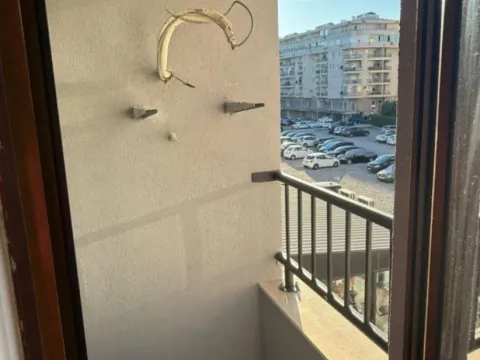 Izdavanje, garsonjera, 28m², Stari Aerodrom, Podgorica - image 7