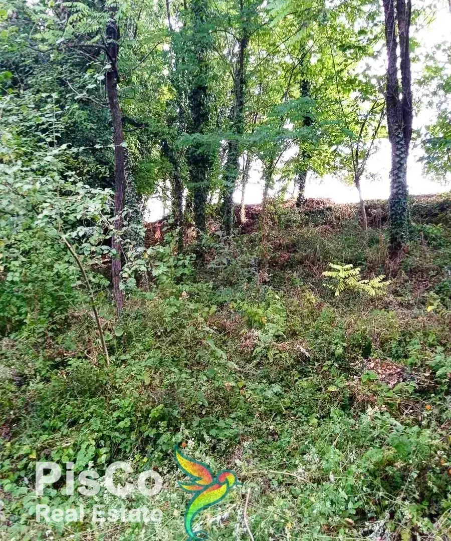 Prodaja, plac, 4700m², Danilovgrad, Crna Gora