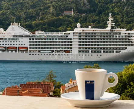 View from the terrace of the bay and a cruise ship with a cup of coffee in the foreground. - image 3