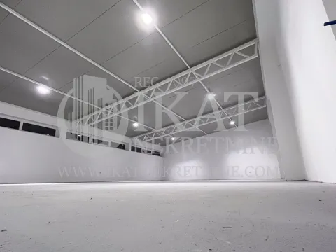 Izdavanje, poslovni prostor, 300m², Zemun Sve Podlokacije, Beograd - image 7