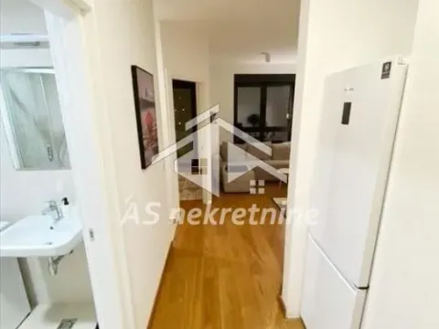Izdavanje, dvosoban stan, 35m², Vračar Sve Podlokacije, Beograd - image 12