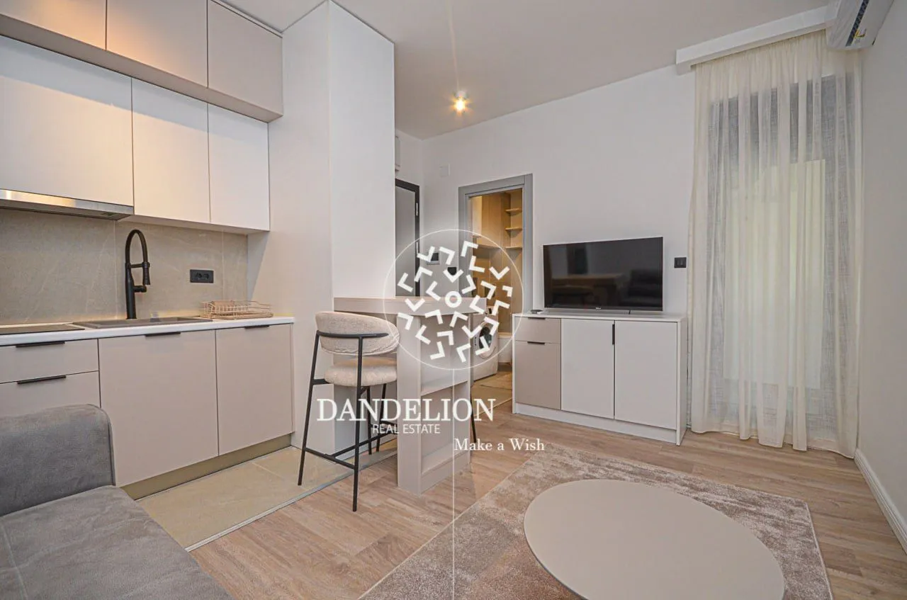 Rent, apartment, 22m², Zabjelo, Podgorica