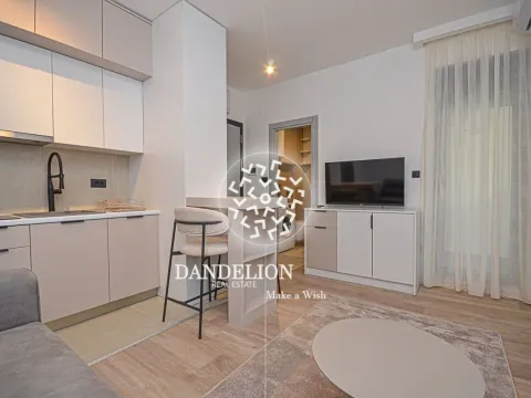 Izdavanje, stan, 22m², Zabjelo, Podgorica - image 2