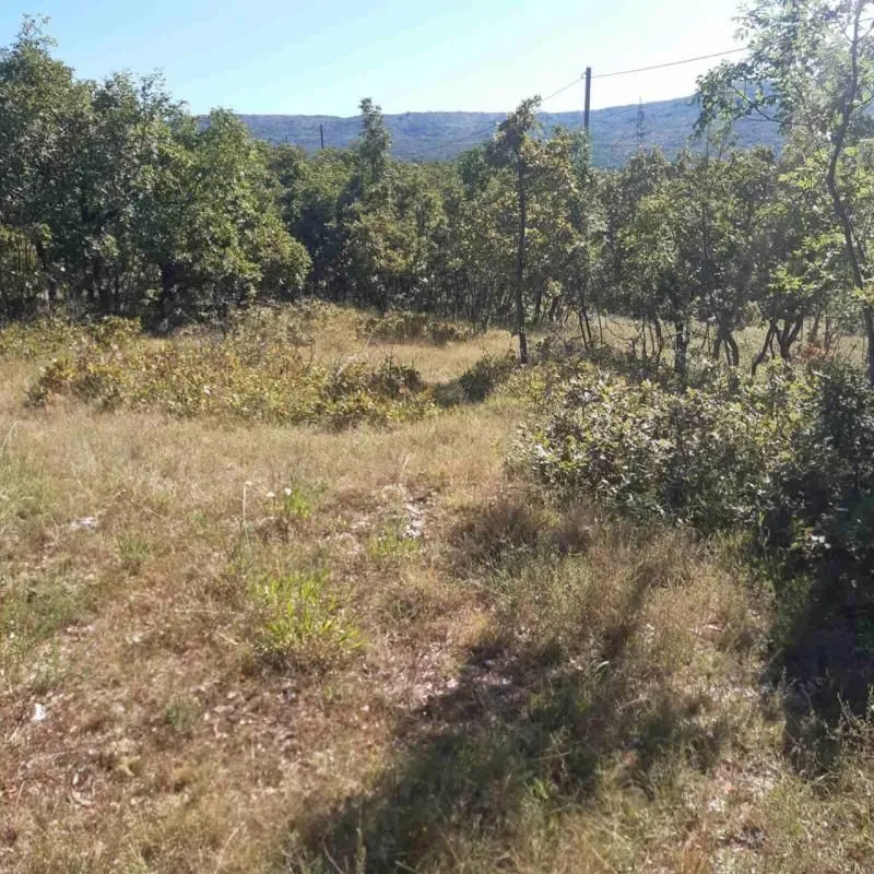 Prodaja, plac, 36000m², Nikšić, Crna Gora