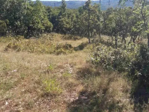 Prodaja, plac, 36000m², Nikšić, Crna Gora - image 2