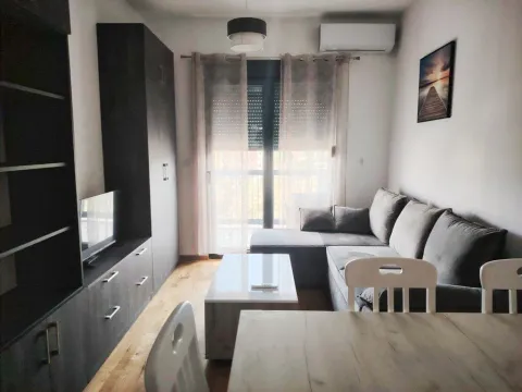 Izdavanje, jednosoban stan, 45m², Zabjelo, Podgorica - image 5