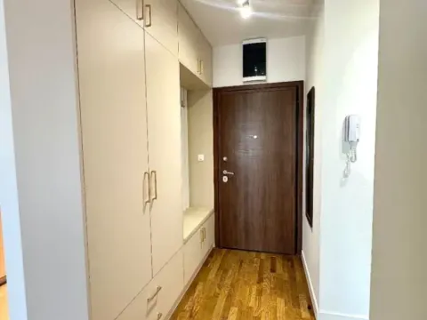 Izdavanje, jednosoban stan, 45m², Stari Aerodrom, Podgorica - image 4