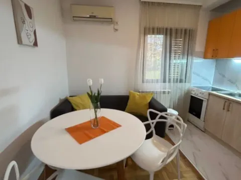 Rent, one bedroom apartment, 35m², 1 maj, Podgorica