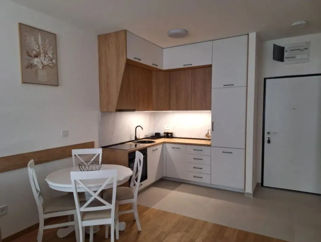 Izdavanje, jednosoban stan, 47m², Stari Aerodrom, Podgorica