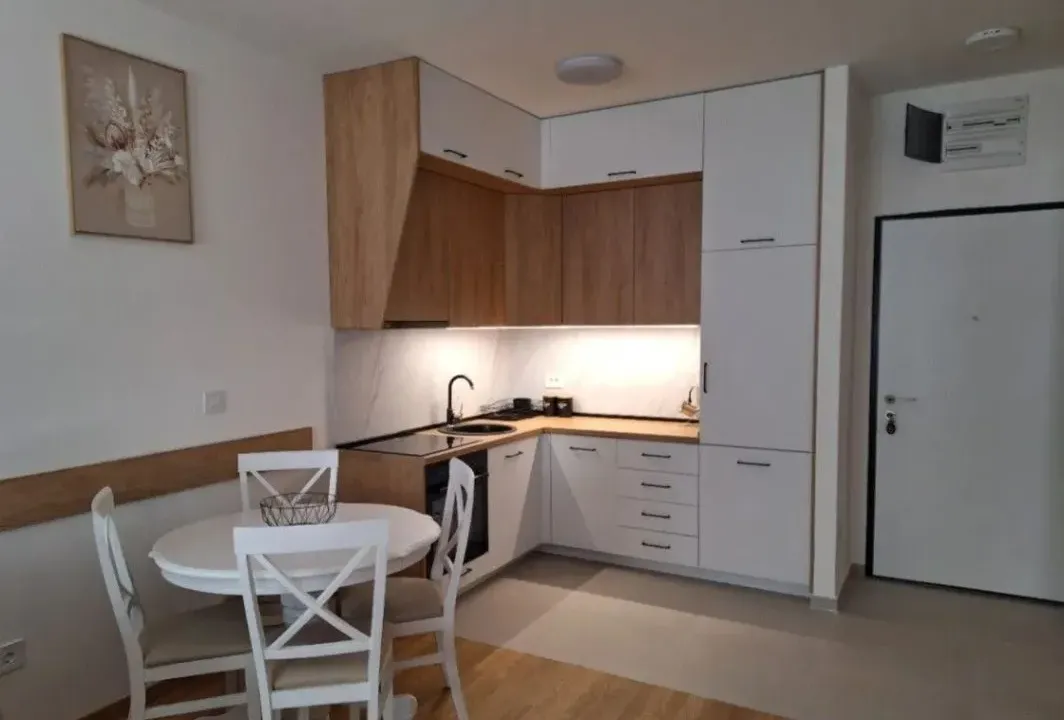 Izdavanje, jednosoban stan, 47m², Stari Aerodrom, Podgorica