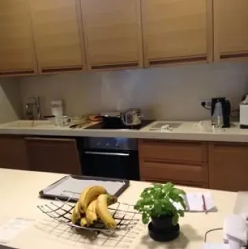 Izdavanje, trosoban stan, 110m², Savski Venac, Beograd - image 8