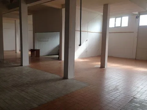 Izdavanje, poslovni prostor, 500m², Altina, Beograd