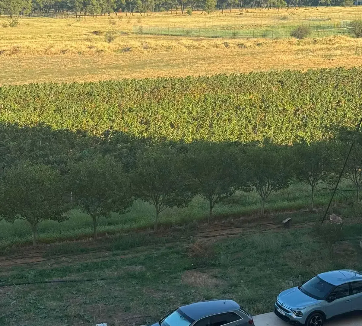 Izdavanje, dvosoban stan, 63m², Stari Aerodrom, Podgorica