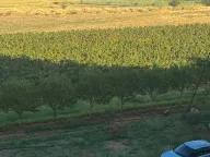 Izdavanje, dvosoban stan, 63m², Stari Aerodrom, Podgorica - image 10