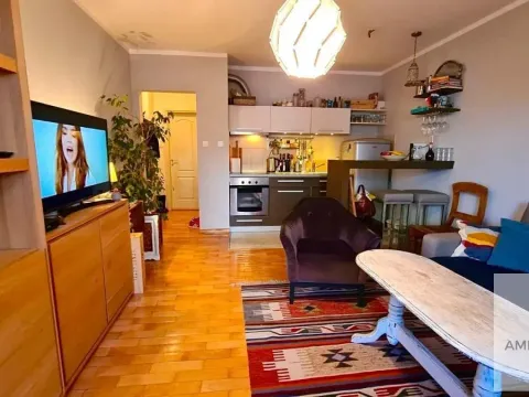 Rent, two bedroom apartment, 45m², Zvezdara Sve Podlokacije, Beograd - image 3