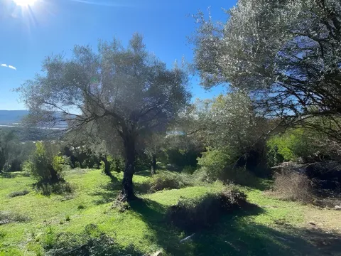 Prodaja, plac, 1258m², Tivat, Crna Gora