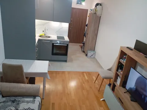 Prodaja, jednosoban stan, 24m², Dubovica, Budva - image 4