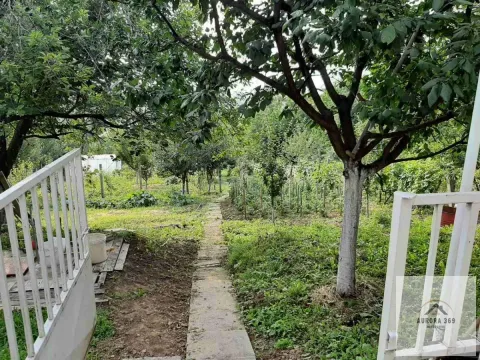 Sale, house, 220m², Sremska Kamenica, Petrovaradin - image 5