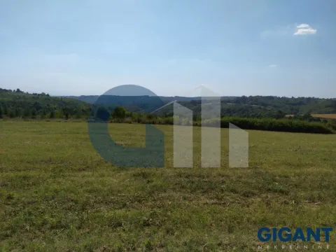 Prodaja, plac, 5000m², Nenadovac, Barajevo - image 17