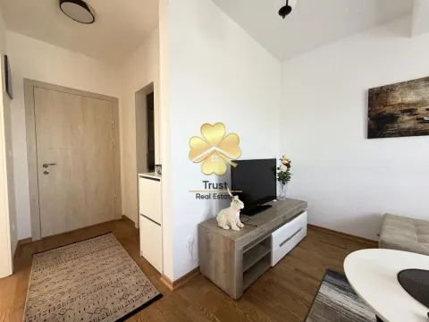 Rent, one bedroom apartment, 40m², 1 maj, Podgorica - image 5