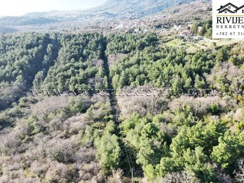 Prodaja, plac, 58950m², Kavač, Kotor - image 4