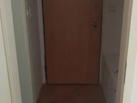 Rent, one bedroom apartment, 31m², Bulevar Oslobodjenja, Novi Sad Sve Podlokacije - image 8
