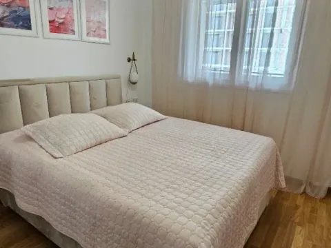 Izdavanje, jednosoban stan, 45m², Stari Aerodrom, Podgorica - image 2